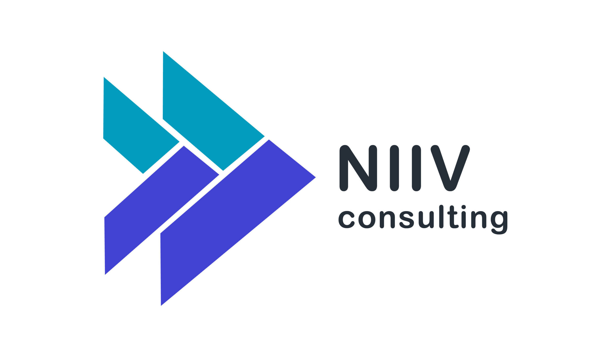 NIIV INC